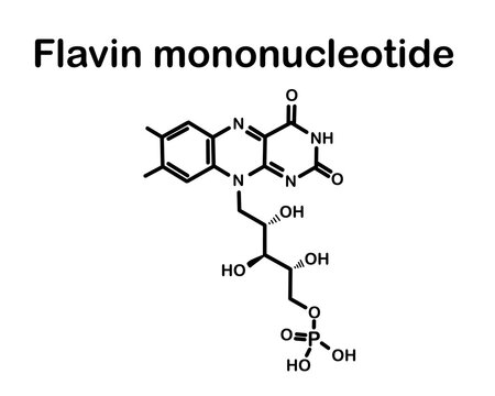 Chemical formula of flavin mononucleotide. Vector illustration