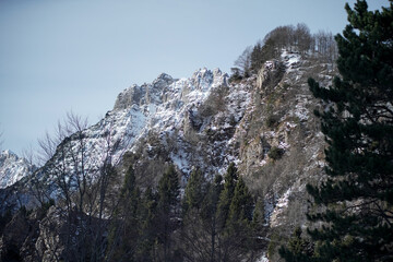 Paesaggio invernale con neve