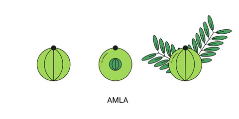 PrintAmla Exotic Fruit Icon Element for Web