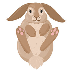 Cartoon cute rabbit. Funny bunny, spring eared hare animal, brown fur domestic bunny flat vector illustration on white background