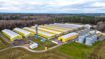 Modern agro-industrial complex top view. Flying a drone over a large chicken farm, raising broiler chickens for meat. Rows of chicken coops and silver grain silos. © Pokoman