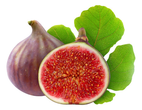 Isolated fresh figs cut in half over green leaf