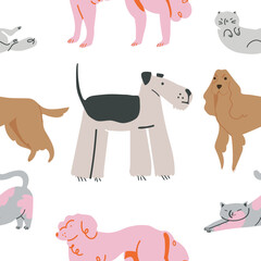 Semlles pattern. Cartoon dogs  and cats characters design collection with flat color in different poses. Vector illustration 