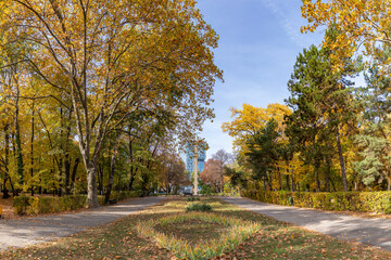 Naklejka premium Herastrau Park and Column Monument in the Fall