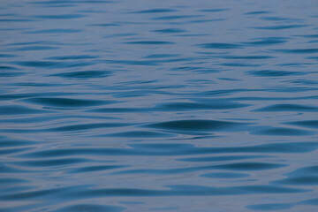 Naklejka premium Channel Islands National Park, Santa Cruz Island off the coast of California, USA