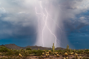 Thunderstorm lightning strike in the desert