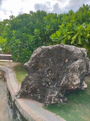 Big stone in the garden