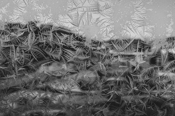 black and white frost patterns
