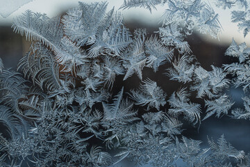 Frost patterns