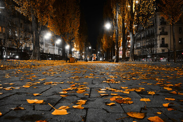 Yellow leaves on the road at night. Kyiv, Ukraine.