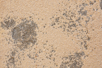 Texture of a stone wall