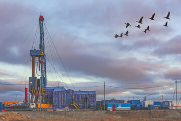 Infrastructure for drilling oil and gas wells in the Far North in the Arctic zone of Russia. Autumn. In the foreground is the vegetation of the polar tundra. Beautiful sky. Collage of a flock of geese