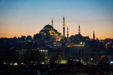 Obraz premium blue mosque at night
