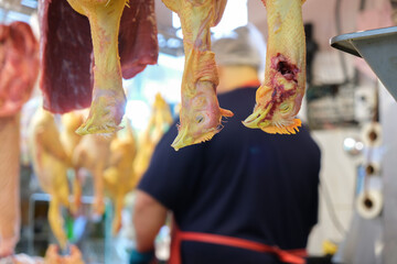 Close up hanging chicken head with blurred butcher background. Selective focus.