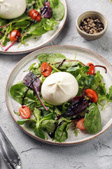 Plates with arugula and spinach salad with fresh cherry tomatoes and italian fresh cheese burrata with balsamic vinegar dressing on a light grey concrete background