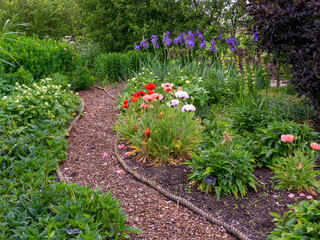 Narrow winding path through a garden with poppies