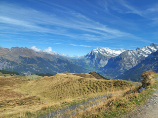 Fototapeta premium Hiking track with snow mountain view with green meadow