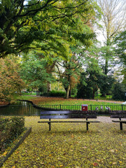 Public park in Dordrecht, Netherlands with falling autumn leaves
