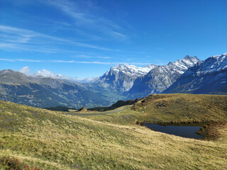 Fototapeta premium Snow mountain view with meadow and blue sky