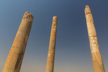 Columns of Apadana palace in the ancient Persepolis, Iran