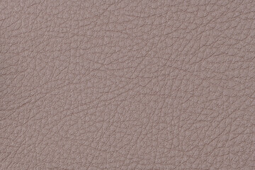 Obraz premium Violet leather texture