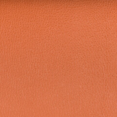 Fototapeta premium Brown leather
