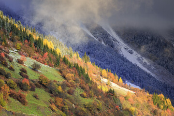 golden autumn in the mountains, snow and yellow trees