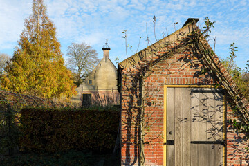 Barn with creeper tree that follows the shape of the barn. Autumn garden scene under a blue sky. © Harry Wedzinga