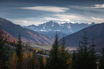  golden autumn in the mountains