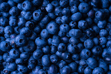 Fresh blueberry background. Texture blueberry berries close up.