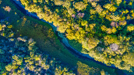 rio sucuri bonito mato grosso do sul brasil