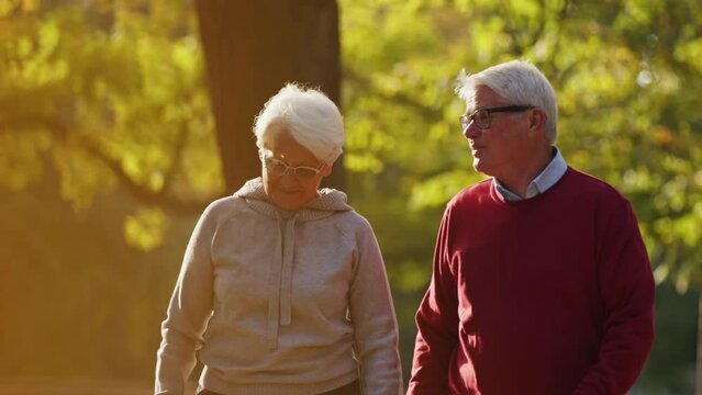 Loving old couple strolling through the park on a sunny day. High quality 4k footage