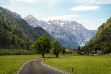 Fototapeta na wymiar Logar Valley in Julian Alps, Slovenia taken in June 2022