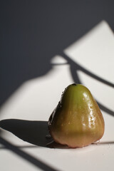 Rose apple or chomphu on white background under morning light from window.. Thailand apple fruit flavors of sweet red gloss.