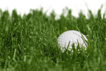 golf ball on a grass
