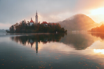 Autumn misty landscape at Lake Bled at sunrise, in the middle of the lake with the church on it, in the Julian Alps, Triglav National Park - 560575814