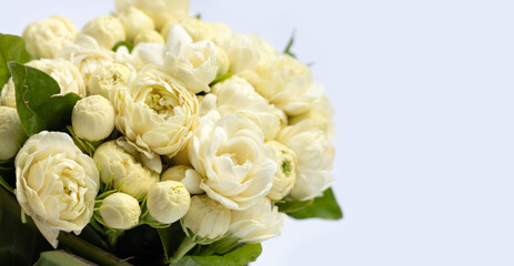 Obraz na płótnie Canvas Jasmine flower on white background.