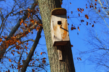 Homemade birdhouse on a tree . Wooden house for birds in the park 