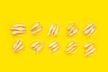 Finger root  in petri dishes