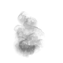 watercolor overlay of rising smoke or black and white grunge texture effect, pattern texture on a transparent background, overlay.