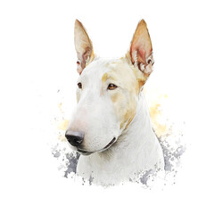 “Generative AI” Bull Terrier digital illustration.