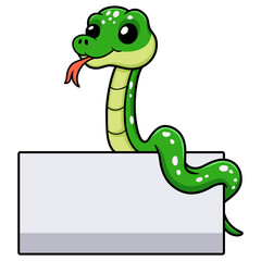 Fototapeta premium Cute green tree python cartoon with blank sign