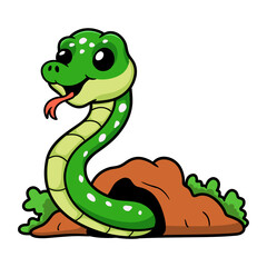 Cute green tree python cartoon out from hole