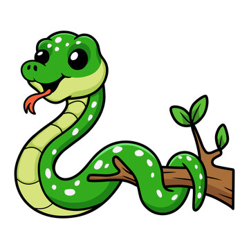 Cute green tree python cartoon on tree branch