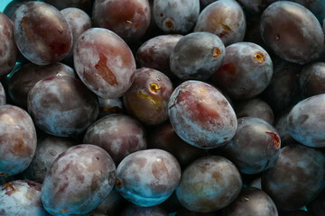 Fresh plums set.Farm organic bio fruits. plum abundance.Plums harvest.Diet healthy fruit 