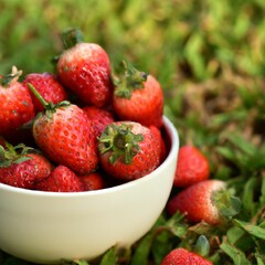 strawberries in a bowl in the garden
