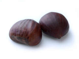 Fresh Portuguese chestnut isolated on white background