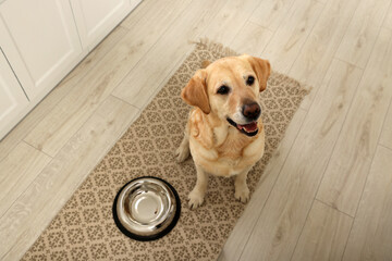 Cute Labrador Retriever waiting near feeding bowl on floor indoors, above view