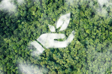 Hand holding leaf. sustainable development. Ecology concept.
