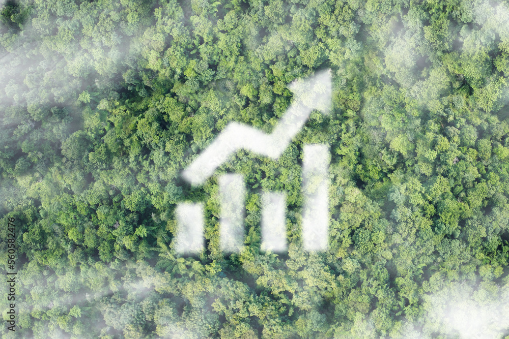 Poster cloud of a rising graph in the middle of untouched nature symbolizing the growing interest in ecolog